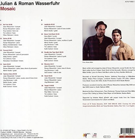 Julian And Roman Wasserfuhr: Mosaic [Winyl]
