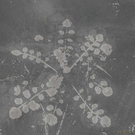 Sabla: Music For Melted Floors [Winyl]