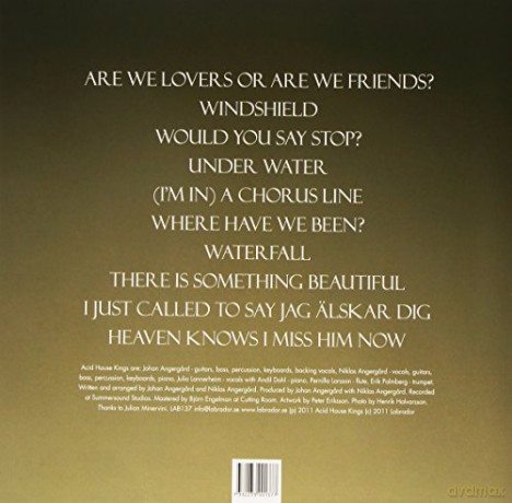 Acid House Kings: Music Sounds Better With You [Winyl]