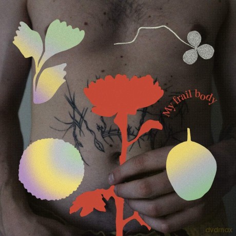 Gundelach: My Frail Body [Winyl]