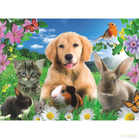 RAVENSBURGER 500 el. Zwierzęta Domowe [PUZZLE]