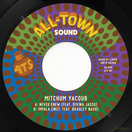 Mitchum Yacoub: Never Knew [Winyl]