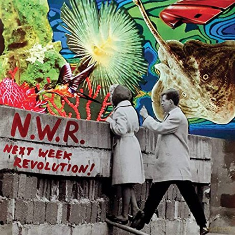 Next Week Revolution N.W.R.: Next Week Revolution [Winyl]