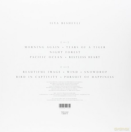 Ilya Beshevli: Night Forest [Winyl]
