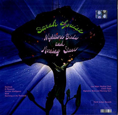 Sarah Louise: Nighttime Birds And Morning Stars [Winyl]