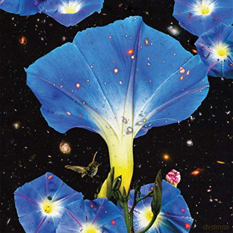 Sarah Louise: Nighttime Birds And Morning Stars [Winyl]