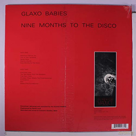Glaxo Babies: Nine Months to the o [Winyl]