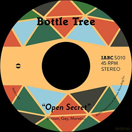 Bottle Tree: Open Secret B/W Open Secret [Winyl]
