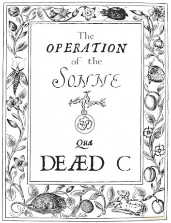 Dead C: Operation Of The Sonne [Winyl]