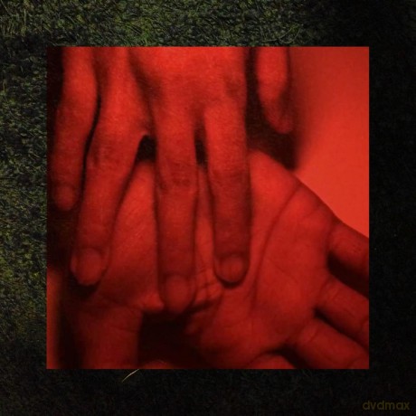 Rachika Nayar: Our Hands Against The Dusk [Winyl]