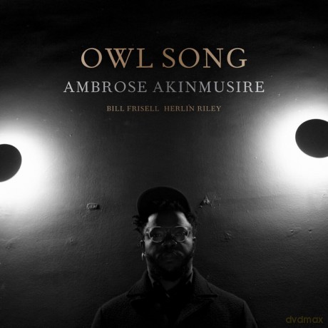 Ambrose Akinmusire: Owl Song [Winyl]