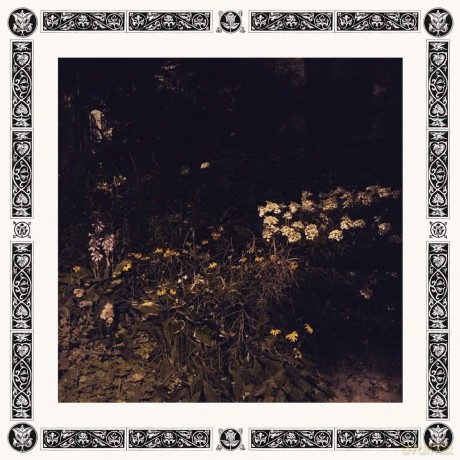 Sarah Davachi: Pale Bloom [Winyl]
