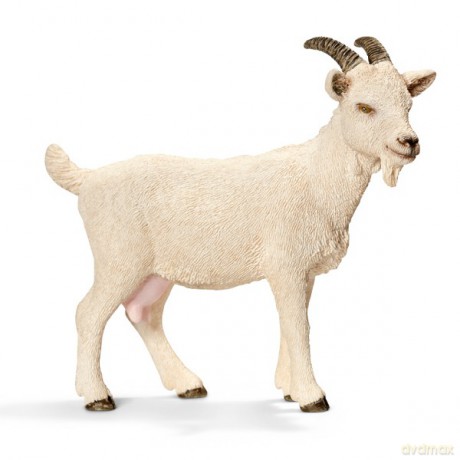Schleich Koza Domowa New 2013 [FIGURKA]
