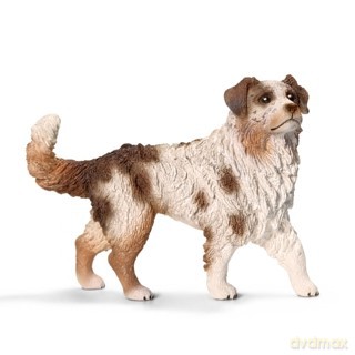Schleich Owczarek Australijski Suka [FIGURKA]