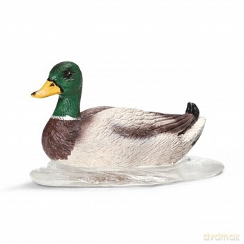 Schleich Pływający Kaczor New 2013 [FIGURKA]