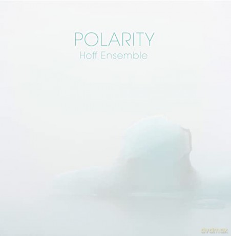 Gunnar/JorminAnders/KleiveAudun HoffJan: Polarity-An Acoustic Jazz Project [Winyl]