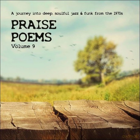 Praise Poems Vol 9 [Winyl]