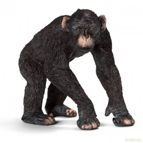 Schleich Szympans Samiec New 2013 [FIGURKA]