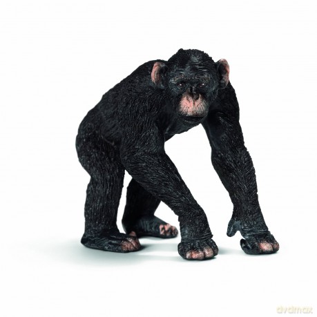 Schleich Szympans Samiec New 2013 [FIGURKA]