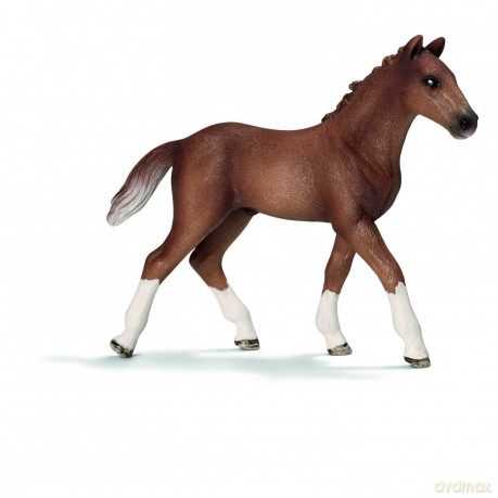 Schleich Źrebię Rasy Hanover New 2013 [FIGURKA]