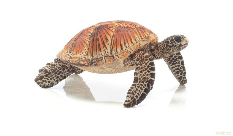 Schleich Żółw Morski [FIGURKA]