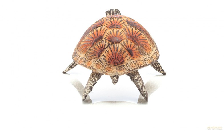 Schleich Żółw Morski [FIGURKA]