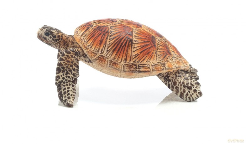 Schleich Żółw Morski [FIGURKA]