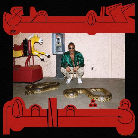 Shabazz Palaces: Robed In Rareness (Ruby) [Winyl]