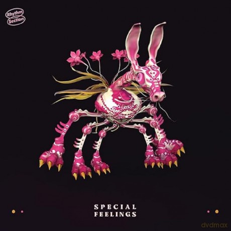 Special Feeling: Special Fe [Winyl]
