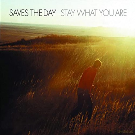 Saves The Day: Stay What You Are - Yellow/Red Edition [Winyl]