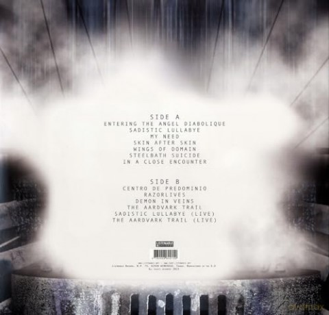 Soilwork: Steelbath Suicide [Winyl]