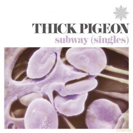Thick Pigeon: Subway/Singles [Winyl]