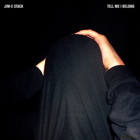 Jim E Stack: Tell Me I Belong [Winyl]