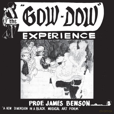 Prof James Benson: The Gow Dow Experience [Winyl]