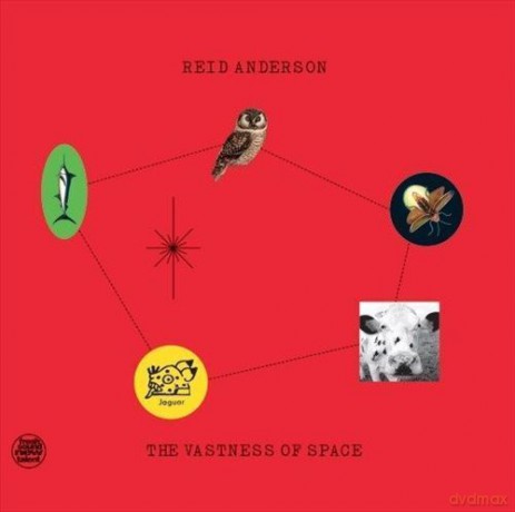 Reid Anderson: The Vastness Of Space [2xWinyl]