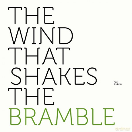 Peter Broderick: The Wind That Shakes The Bramble [Winyl]