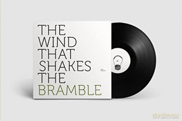 Peter Broderick: The Wind That Shakes The Bramble [Winyl]