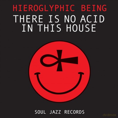 Hieroglyphic Being: There Is No Acid In This House [2xWinyl]