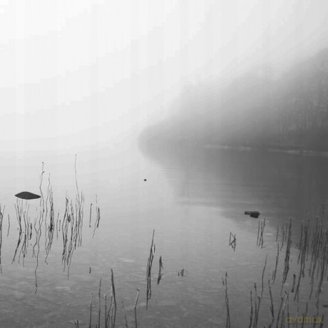 Dakota Suite: This River Only Brings Poison [2xWinyl]