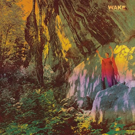 Wake: Thought From Descent Black [Winyl]