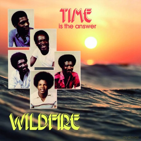 Wildfire: Time Is The Answer [Winyl]