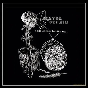Diavol Strain: Todo El Chaos Habita Aqui [Winyl]