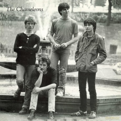 Chameleons: Tony Fletcher Walked On Water [Winyl]
