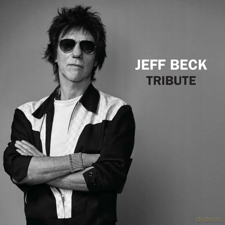 Jeff Beck: Tribute [Winyl]
