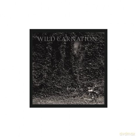 Wild Carnation: Tricycle (Rsd 2023) [Winyl]