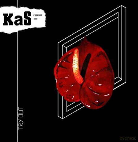 Kas Product: Try Our [Winyl]