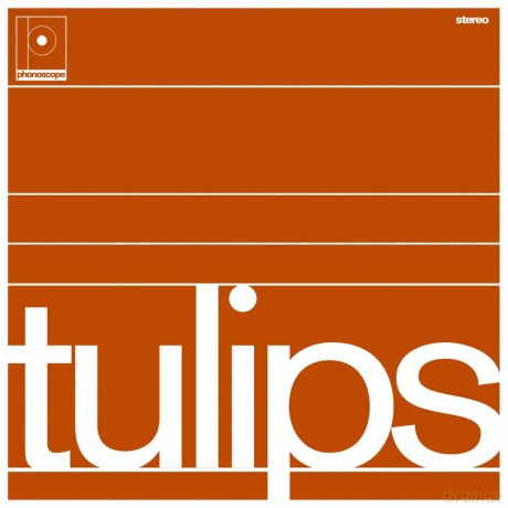 Maston: Tulips [Winyl]