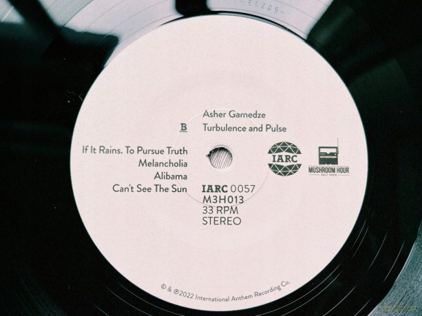 Asher Gamedze: Turbulence And Pulse [2xWinyl]