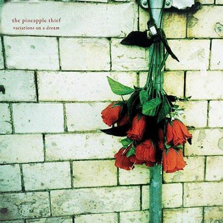 Pineapple Thief: Variations On A Dream [Winyl]