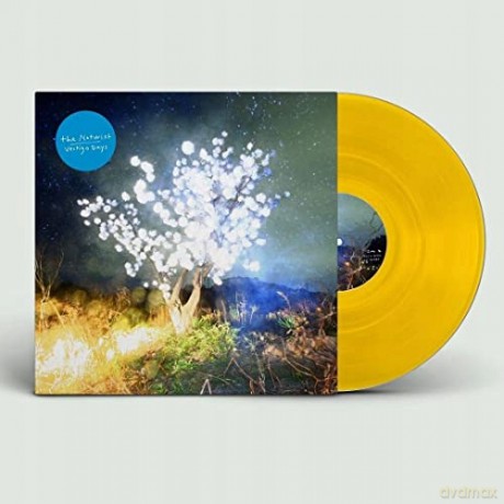 Notwist: Vertigo Days [Winyl]